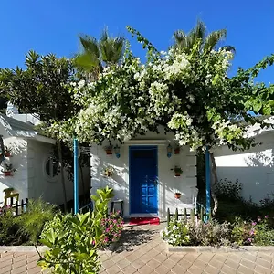 book here